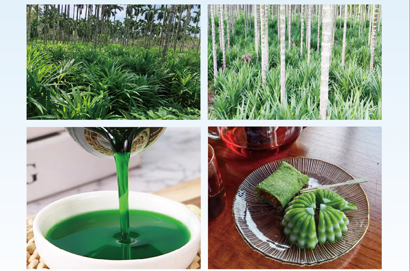 ���ϰߔ̝�{�ӹ���Q����